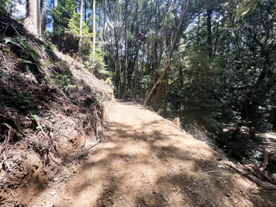 【前面道路含む現地写真】 | 宇治市白川娑婆山　倉庫付き土地