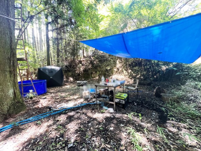 【前面道路含む現地写真】の画像