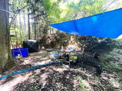 【前面道路含む現地写真】 | 宇治市白川娑婆山　倉庫付き土地