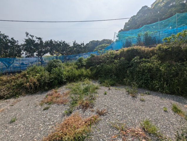 売土地　下田市大賀茂の外観|閑静な住宅地に位置しています。周辺には緑も多くあります。