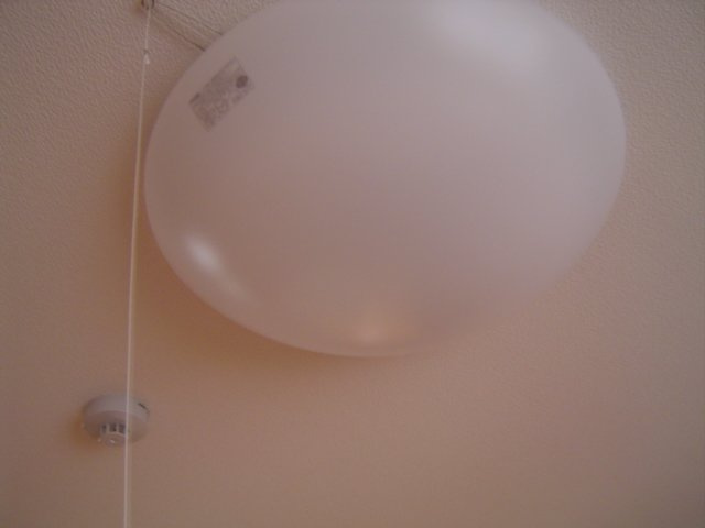 ラ・レユシイルの内装|照明器具（洋室）