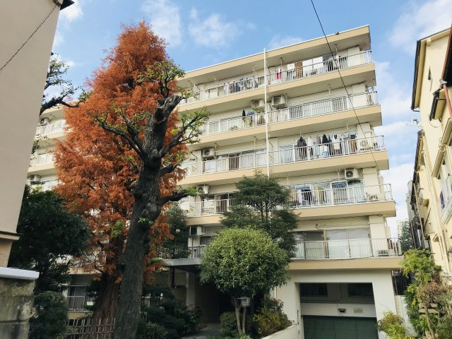 メタセコイヤマンションの画像