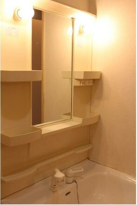 【独立洗面台】 | DUPLEX BLOOM A