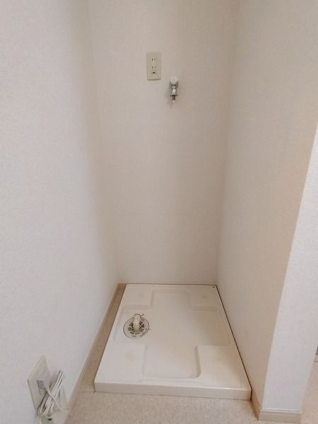 アムールのその他