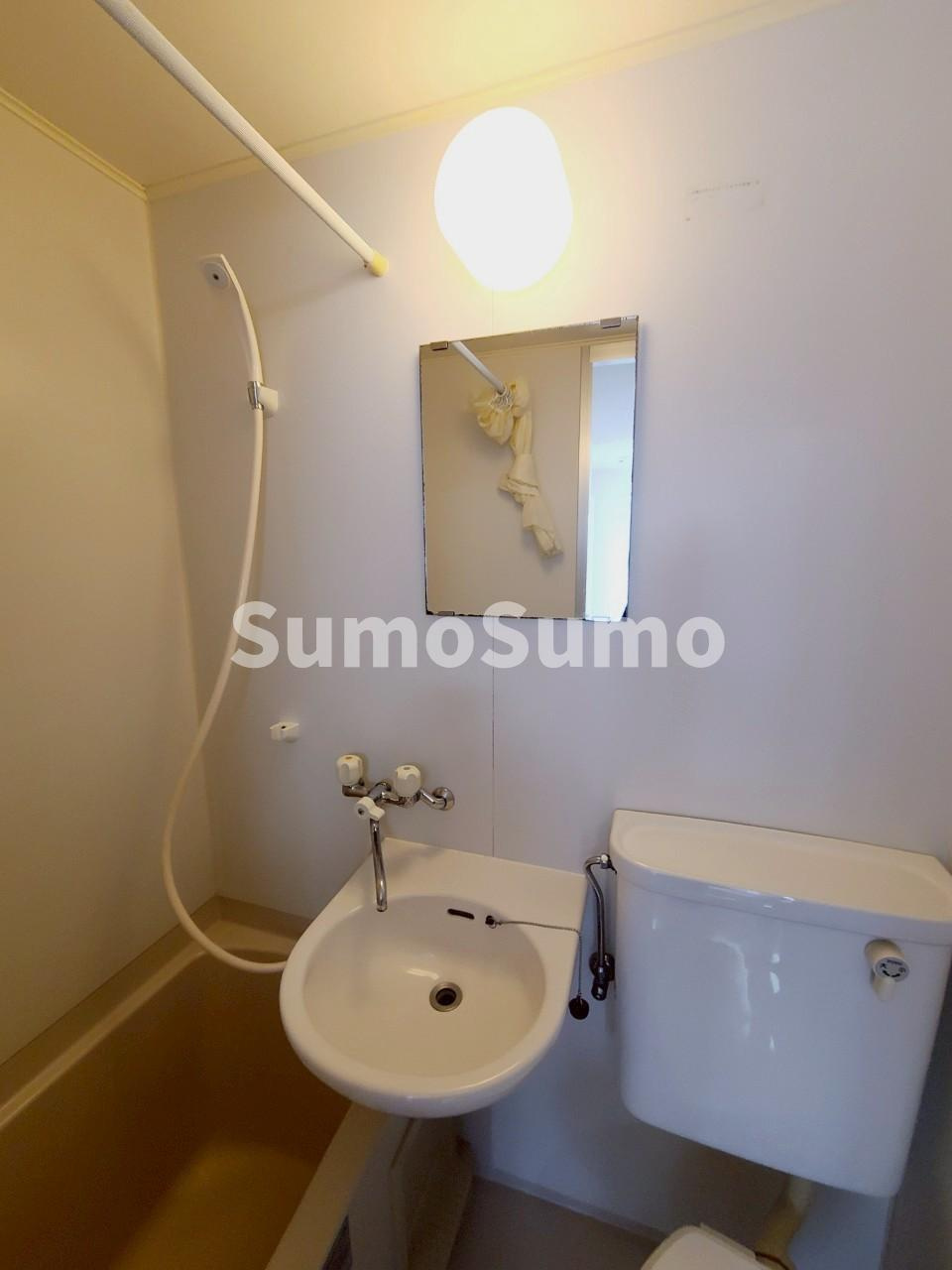 ヴィラサンローズの洗面所