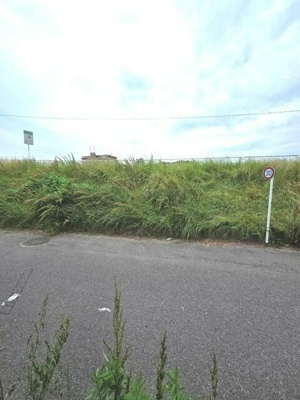 【展望】 | ステージ上青木Ⅱ