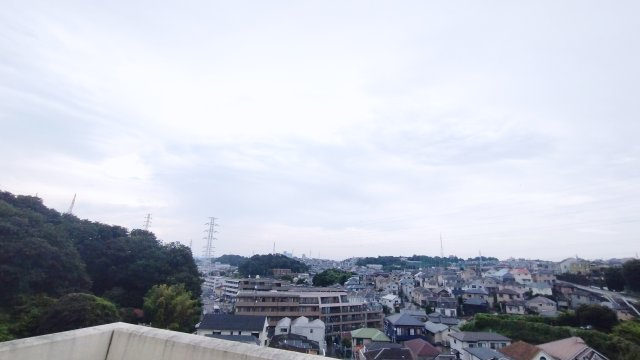 クレッセントユーパリノスの丘パームヒルズ の展望