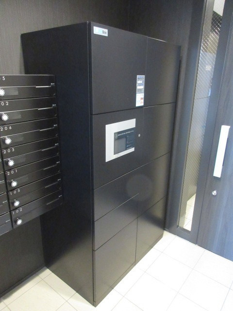 ｍａｉｓｏｎ　ｄｅ　ｂａｌｅｉｎｅ　１　メゾンドバレーヌアンのロビー|★宅配ＢＯＸ★