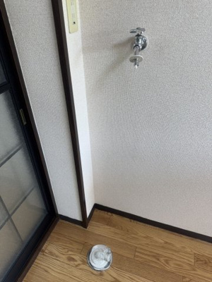 【その他】 | シオン花咲