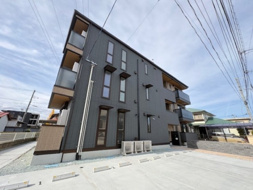 トータスの画像