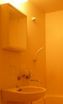 【洗面所】 | パピヨン（上板橋）