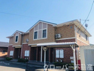 プラシード　Ｂの画像