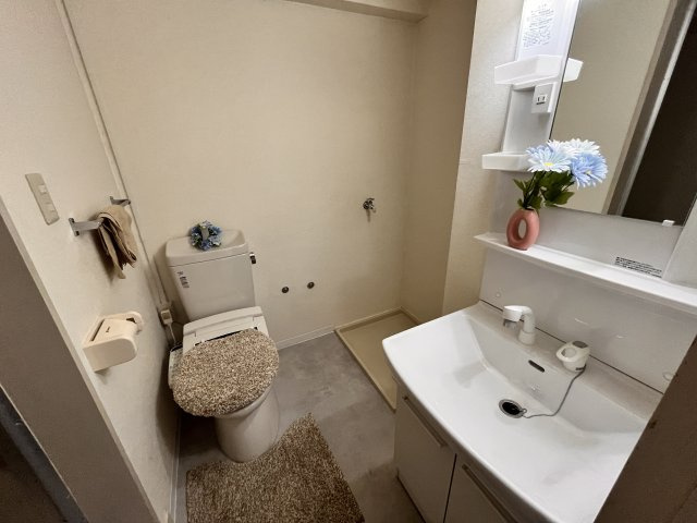 ハイツフルカワの洗面所