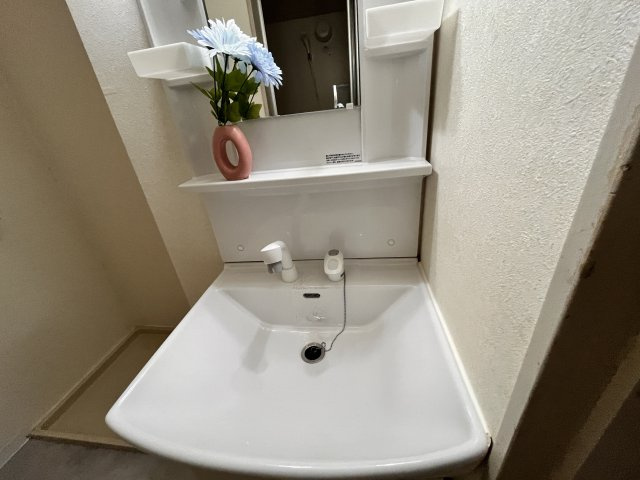 ハイツフルカワの洗面所