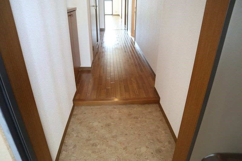 アンシャンテ平野