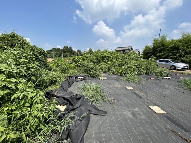 若柴町土地の外観|現地土地写真