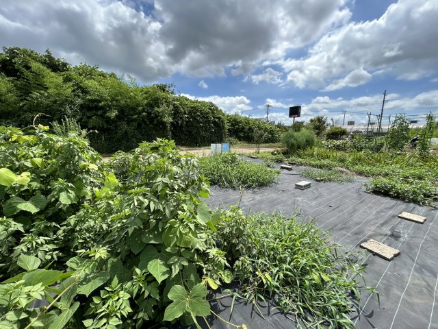 若柴町土地の外観|敷地内から見た現地土地写真