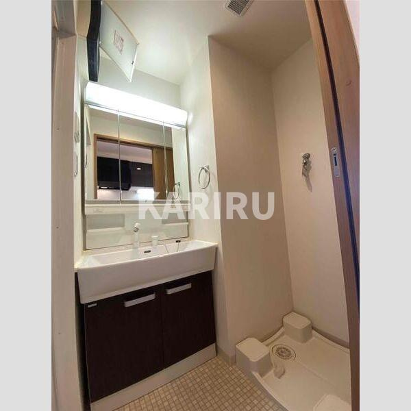 S-FORT福島La Lunaの洗面所