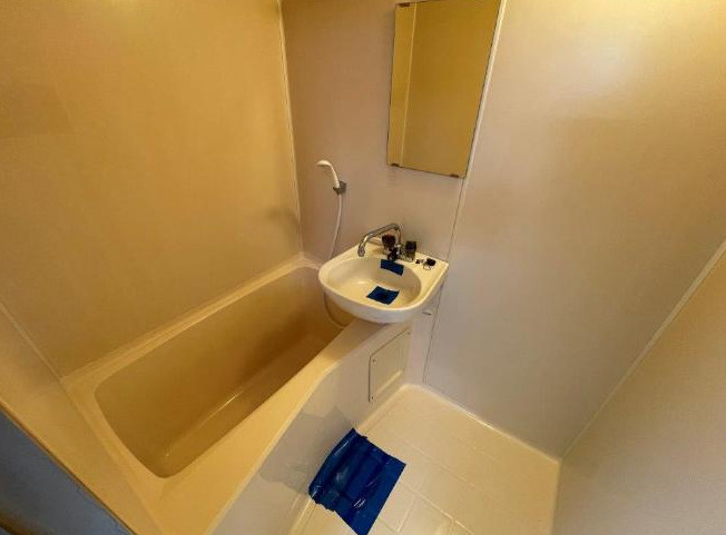 船橋市藤原1丁目　一棟売マンション　大規模修繕工事済みの浴室