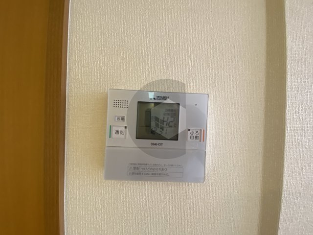 アリオールのその他