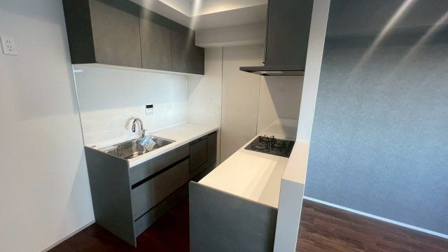 グランドステージ三宿　2LDKのキッチン|2025.11.17撮影 食洗器等設備が充実したシステムキッチン
