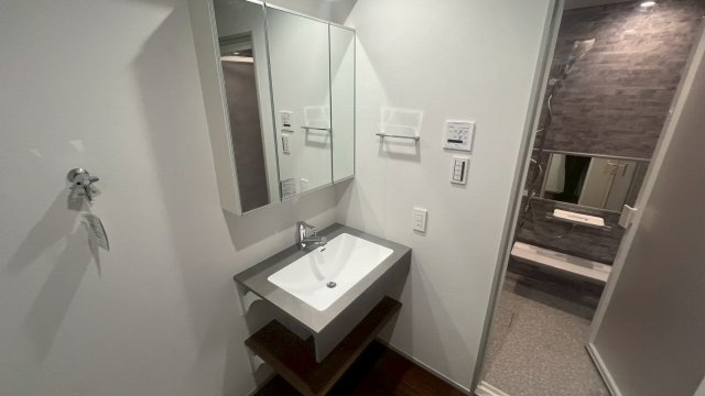 グランドステージ三宿　2LDKの独立洗面台|2025.11.17撮影　デザイン性の高い独立洗面台です