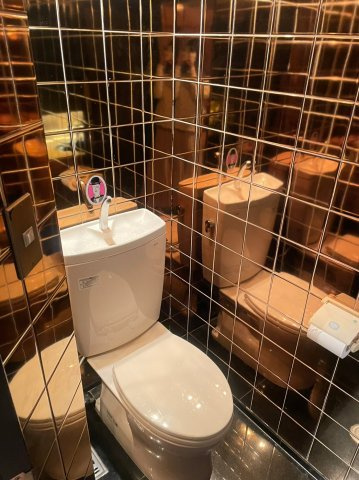 ゴールドプラザビルのトイレ|トイレです