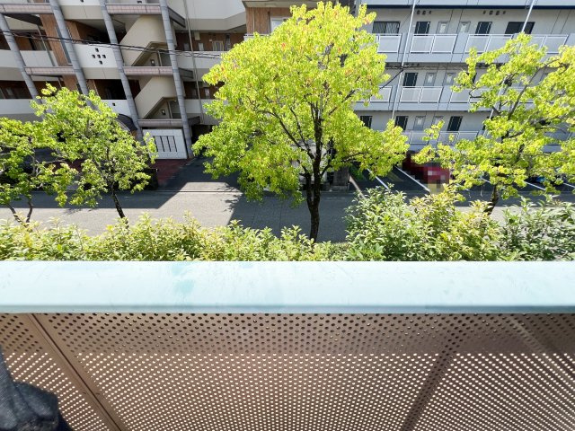 シャーメゾン・ソレイユ B棟の展望