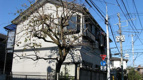 練馬区立野町のアパートの画像