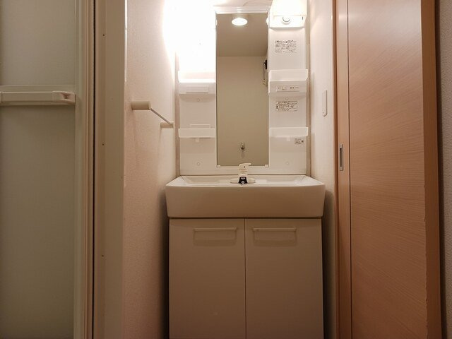 アッシュ１０の洗面所|広い洗面スペース