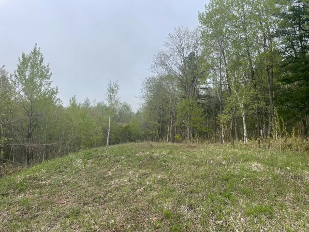 売土地　更別村字弘和