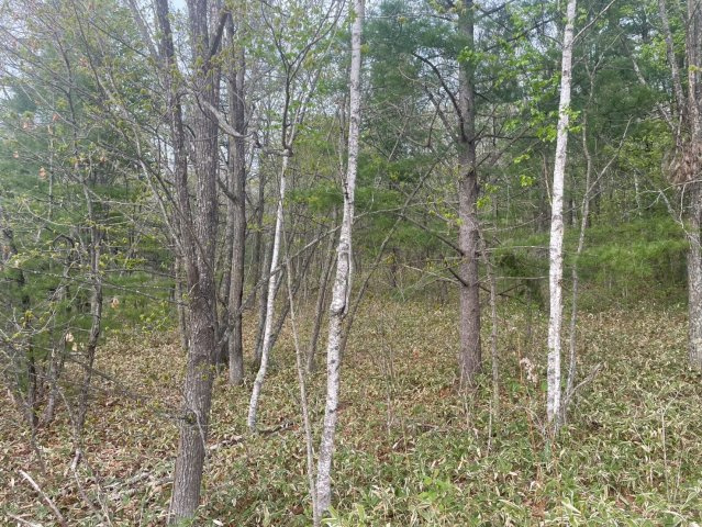 売土地　更別村字弘和の外観