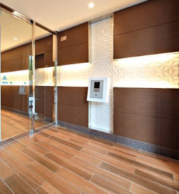 天満橋ケルスコートParkViewのセキュリティ