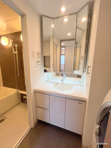 パークアクシス大阪新町　仲介手数料無料の洗面所