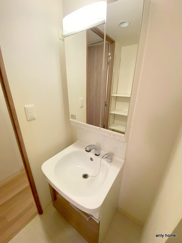 プレサンス松屋町グレース　仲介手数料無料の洗面所