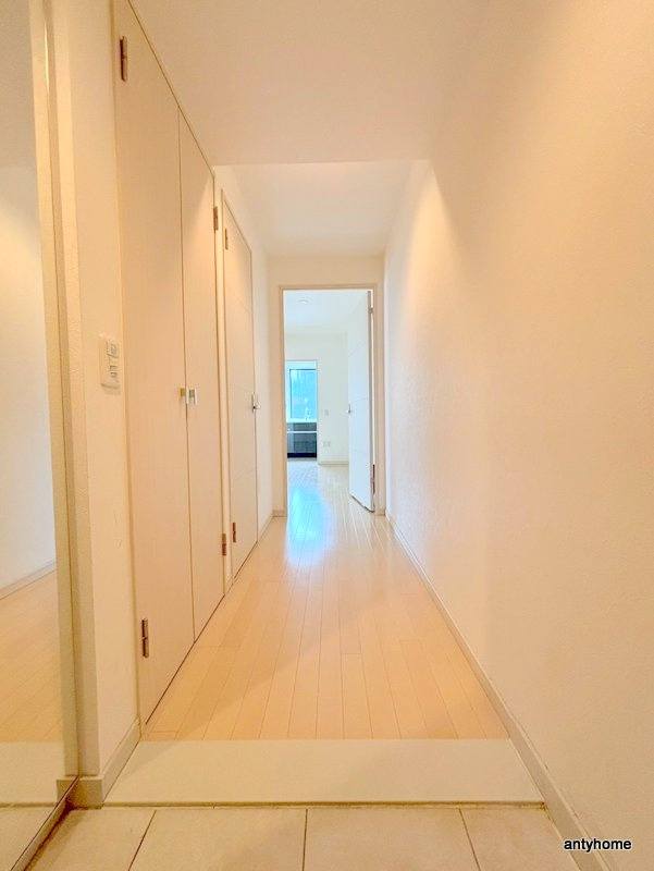 アルグラッドザタワー心斎橋　仲介手数料無料の内装