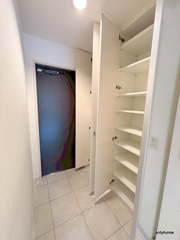 アルグラッドザタワー心斎橋　仲介手数料無料の収納