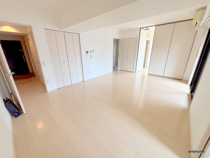 アルグラッドザタワー心斎橋　仲介手数料無料の居間・リビング