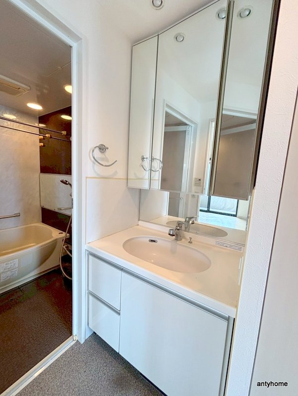 アルグラッドザタワー心斎橋　仲介手数料無料の洗面所