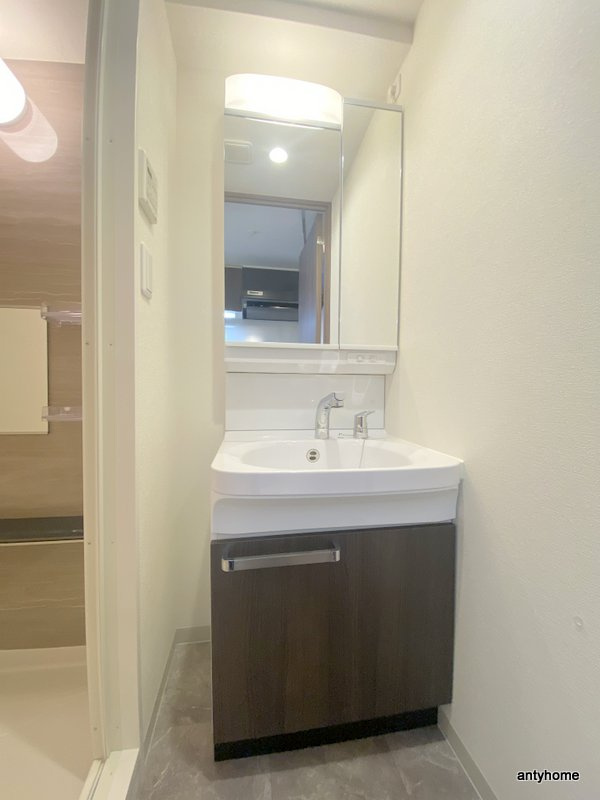 プレサンス天王寺 勝山　仲介手数料無料の洗面所