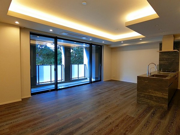 港区三田２丁目の賃貸マンションのその他|リビング