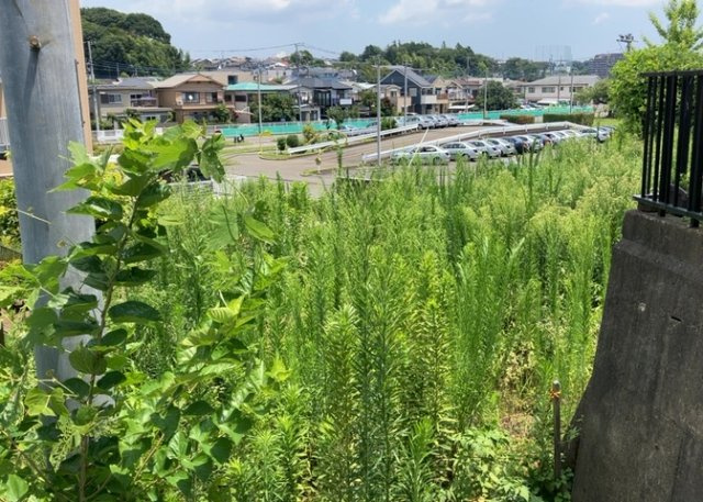 【前面道路含む現地写真】 | ハザードマップは自然災害による被害を予測し、その被害範囲を地図上で表したものです。近年特に災害が多くなっていますので、事前に調査すると安心できます。ハザードマップは国交省のホームページをご覧ください。