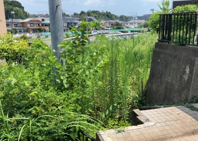 【外観】 | 物件の詳細については、現地を見てわかること以外に、役所や法務局などで調べないとわからないことがあります。そのため、現地に行く場合は、もしこの物件を買ったらどのような生活ができるかをイメージしましょう。
