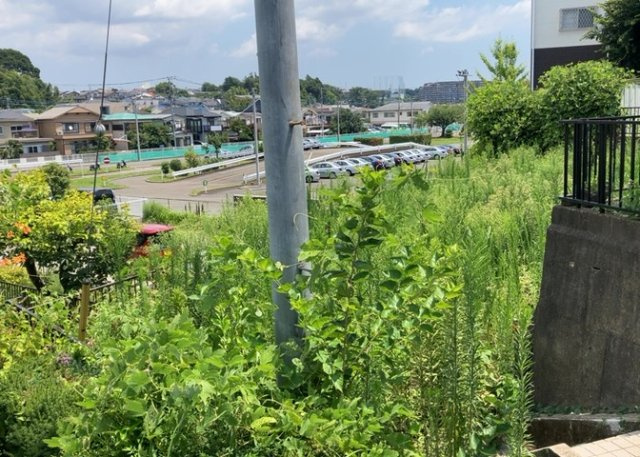 【外観】 | 隣家の土地はどうなっているのか、生活利便施設が近くにあるのか、学校まで近いかなど、お客様のライフスタイルにあわせたイメージが重要です。また、近くにあると困る施設が近くにないかも確認するといいでしょう。