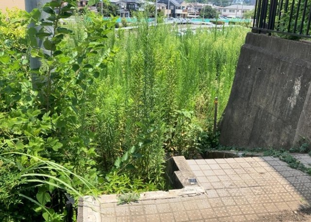 【外観】 | 土地購入を検討されている場合、境界杭がない状態で購入してしまうと境界確定測量をする必要があり、費用がかかります。購入の前に、売主、隣土地所有者立ち合いのもと境界を確定し境界杭を設置するのがベストです。