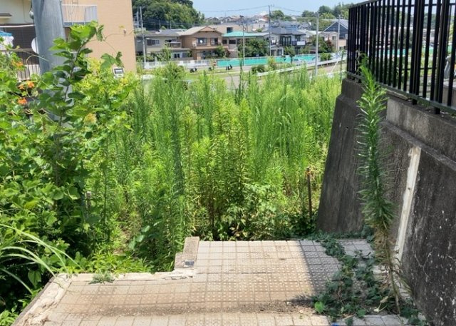 【外観】 | 家を建てる前提で土地を探している場合、地盤の丈夫さは譲れない条件の一つです。地盤が脆弱だと追加工事が必要となります。また、過去に地盤沈下や液状化現象を起こした土地は、できるだけ避けた方がいいでしょう。