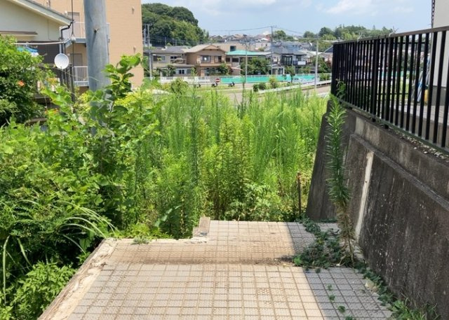 【外観】 | 人が暮らすうえで日光は大切な要素となります。日当たりの良さは譲れないポイントですね。併せて近くに大きな建築物の建築予定がないか、あるいはそれが可能な土地が近くにないか事前に確認することもお勧めします。