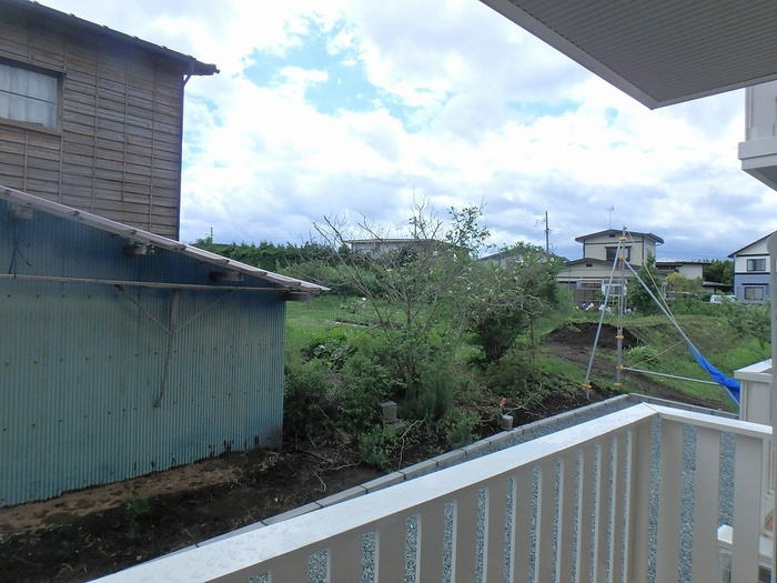 エバーグリーンの展望