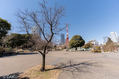 【周辺】 | 御成門コープ