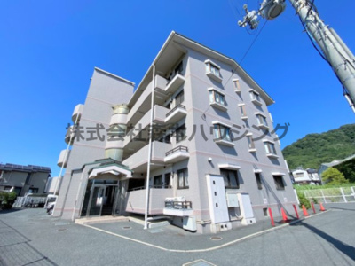 【外観】 | 　サンマンション南野 | 外観も気になるポイント